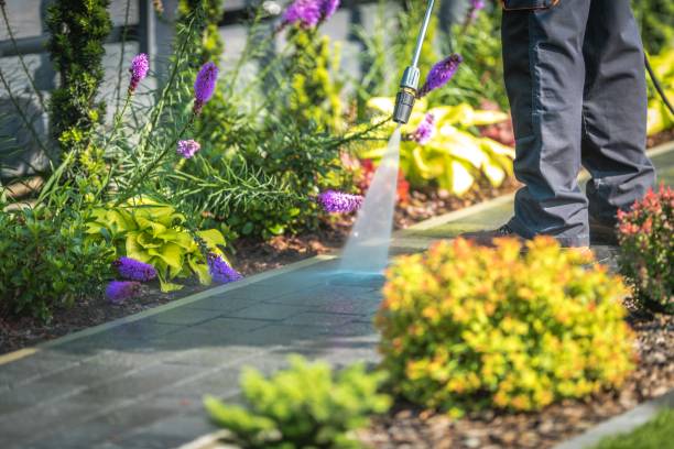 Reliable Seven Oaks, SC Pressure Washing Solutions